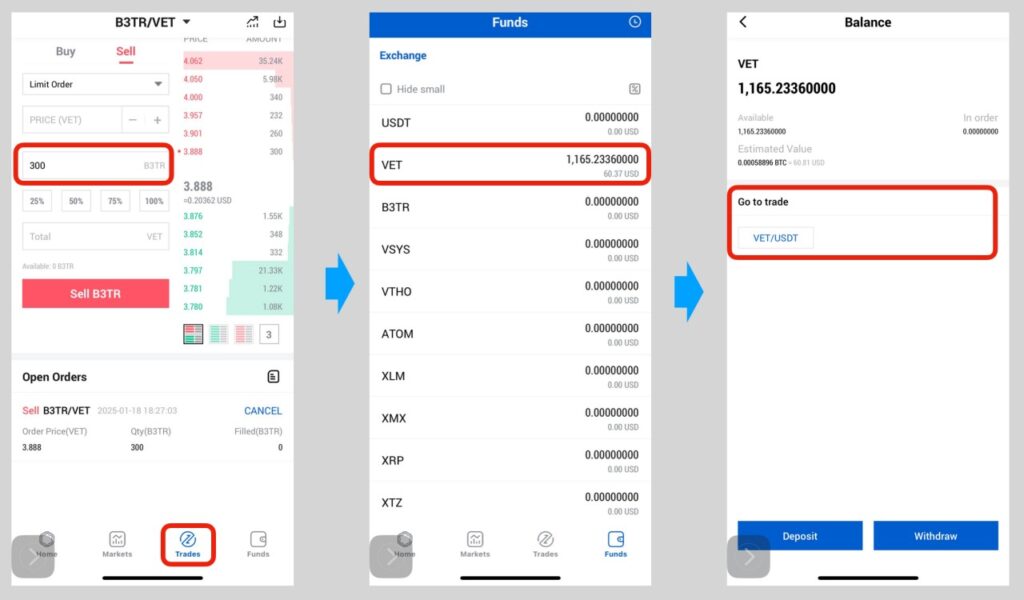 OceanExでB3TRをVETに変換、さらにVETをUSDTに変換してメタマスクに送金する